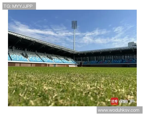 深圳羽毛球队实力解析：从训练到比赛的全面剖析与展望